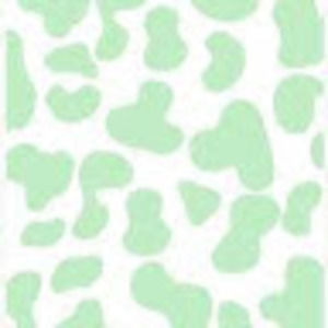 Meet your Posher, Claire